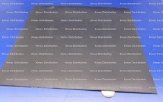 Buna Rubber Sheets